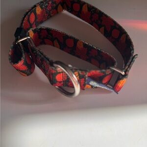 Two Hounds Design Martingale Dog Collar